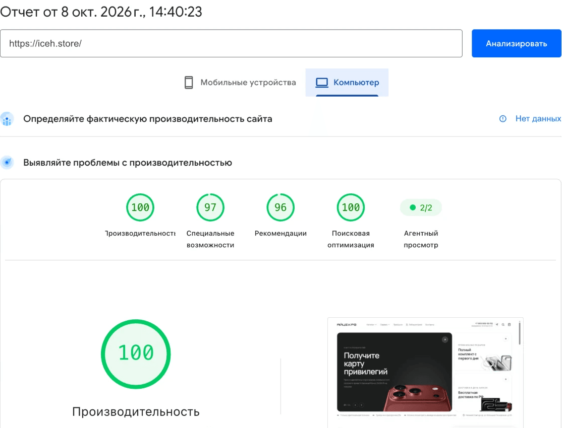 PageSpeed Insights для iceh.store: производительность 100 из 100